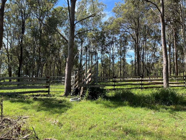 LOT 14 Old Dyraaba Road Lower Dyraaba NSW 2470 LOT 14 Old Dyraaba Road Lower Dyraaba NSW 2470