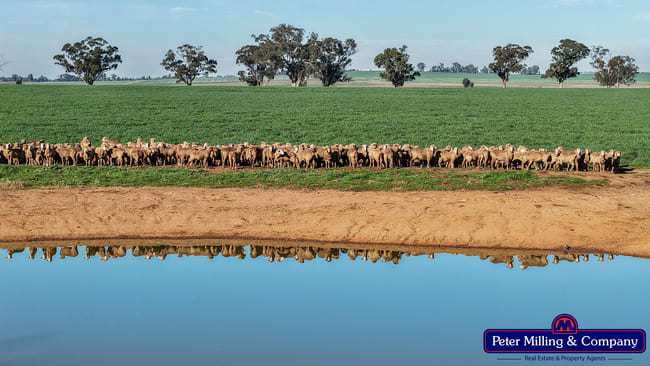 48R Quamby Road Wongarbon NSW 2831 48R Quamby Road Wongarbon NSW 2831
