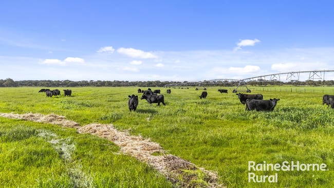 556 Mail Bridge Road Reedy Creek SA 5275