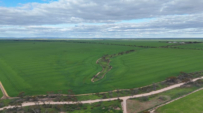 Lot 104 Coxs Road Tickera SA 5555