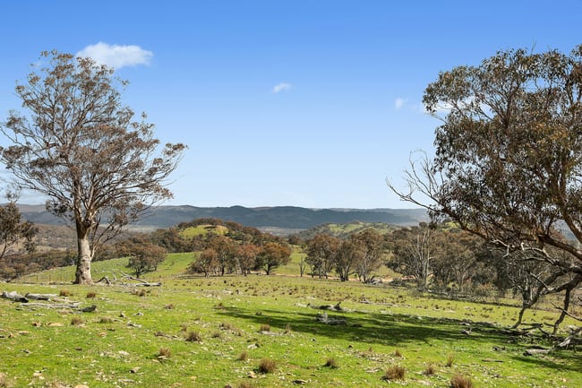 Lot 1301, Queens Pinch Road Mudgee NSW 2850