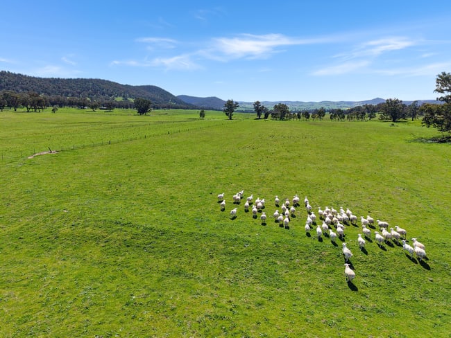 223 Rodwells Road Murga NSW 2864