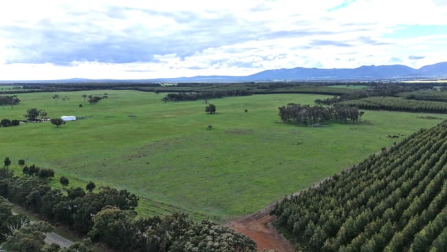 2003 Settlement Road Napier WA 6330 2003 Settlement Road Napier WA 6330