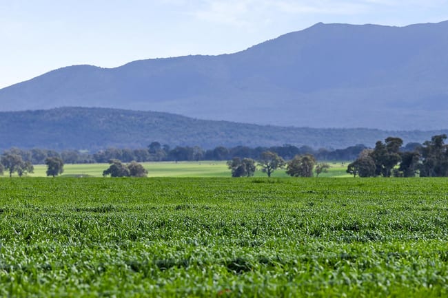 1077 Yarram Gap Road Willaura VIC 3379