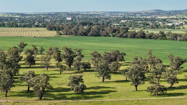 200 Warrengunyah Road Mount Arthur NSW 2820 200 Warrengunyah Road Mount Arthur NSW 2820