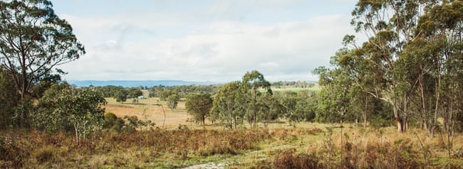 6358 Mount Lindesay Road Wylie Creek NSW 2372