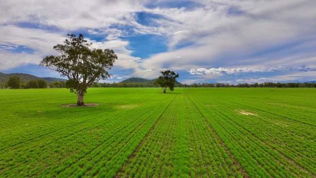 177 Therribri Road Boggabri NSW 2382