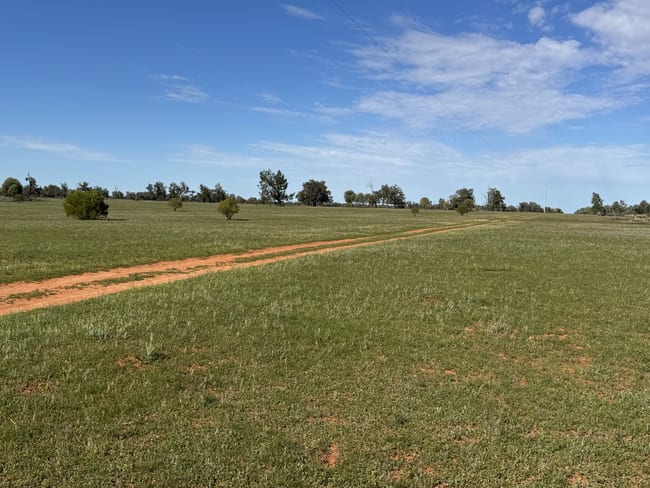 16468 Cobar Road Ivanhoe NSW 2878 16468 Cobar Road Ivanhoe NSW 2878