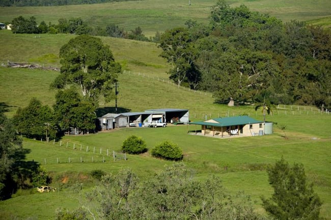 Number One NSW 2424