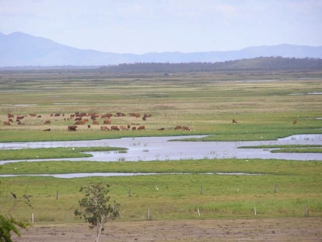 10 Stanage Bay Road Stanage QLD 4702 10 Stanage Bay Road Stanage QLD 4702