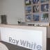 Ray White Toronto Reception