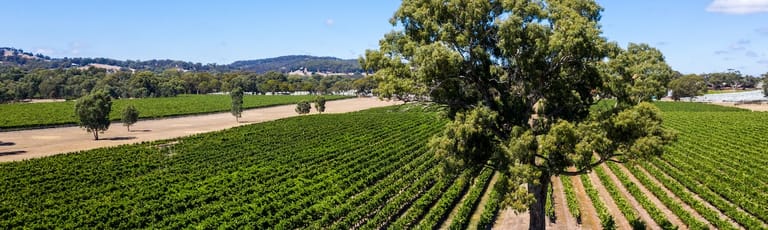 Rural / Farming commercial property for sale at 63 Days Road Kangarilla SA 5157
