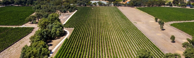 Rural / Farming commercial property for sale at 63 Days Road Kangarilla SA 5157