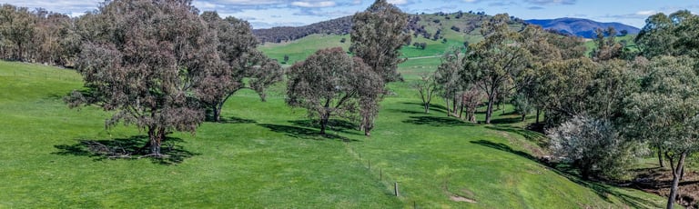 Rural / Farming commercial property for sale at 175 Oak Hill Road Bringenbrong NSW 3707