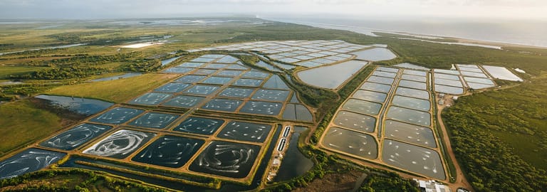 Rural / Farming commercial property for sale at Alva QLD 4807