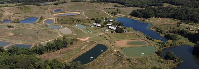 Rural / Farming commercial property for sale at 168 Stoney Creek Road Speewah QLD 4881