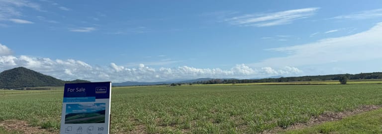 Rural / Farming commercial property for sale at 1 & 2 Captain Cook Highway Killaloe QLD 4877