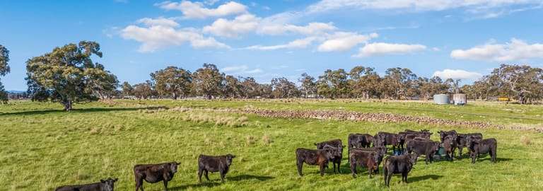 Rural / Farming commercial property for sale at 830 & 850 Epping Road Woodstock VIC 3751