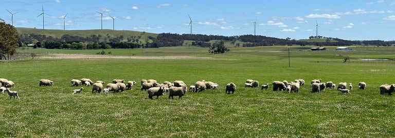 Rural / Farming commercial property for sale at 0 Gurrundah Road Gunning NSW 2581