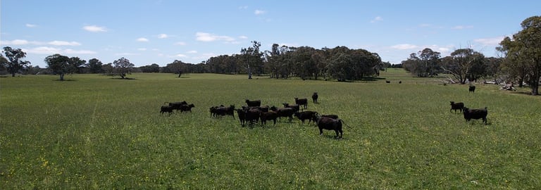 Rural / Farming commercial property for sale at 0 Gurrundah Road Gunning NSW 2581