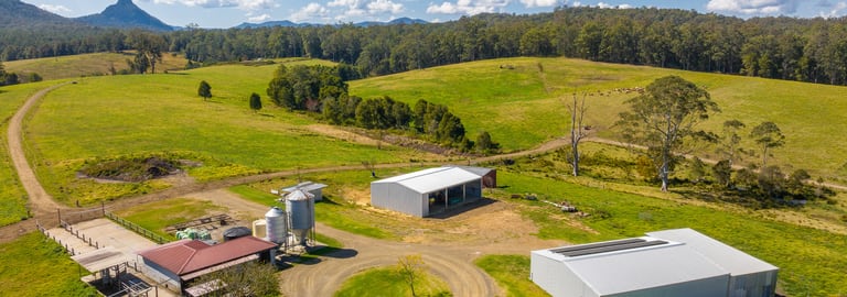 Rural / Farming commercial property for sale at 80 Mortons Road Killabakh NSW 2429