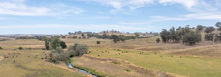 Rural / Farming commercial property for sale at 595 Ancona Road Ancona VIC 3715