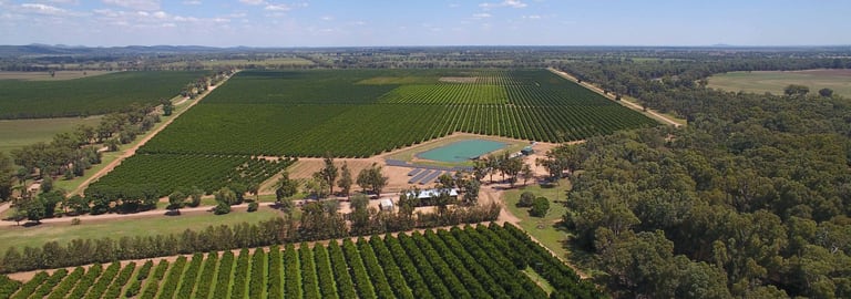 Rural / Farming commercial property for sale at Forbes NSW 2871