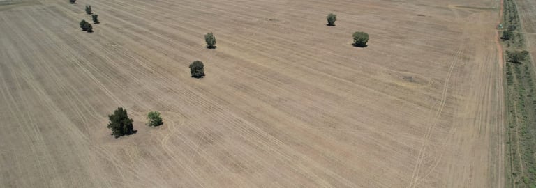 Rural / Farming commercial property for sale at 14787 Lachlan Valley Way Kiacatoo NSW 2877
