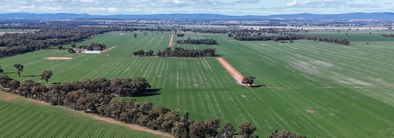 Rural / Farming commercial property for sale at Allengrove Aggregati Warregal Road Tichborne NSW 2870