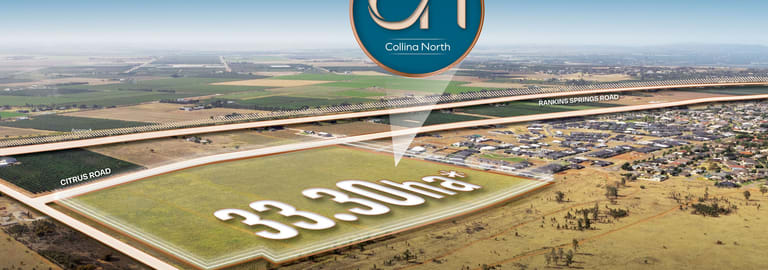 Development / Land commercial property for sale at 1683 & 2749 Citrus Road Griffith NSW 2680