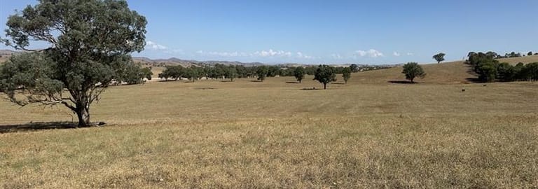 Rural / Farming commercial property for sale at 4781 Muttama Road Cootamundra NSW 2590