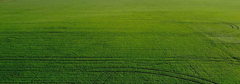 Rural / Farming commercial property for sale at Minyip VIC 3392