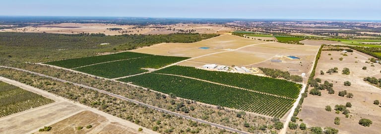 Rural / Farming commercial property for sale at 331 Sappers Road Karakin WA 6044