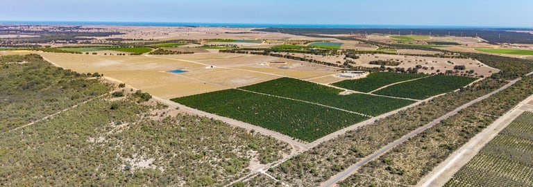 Rural / Farming commercial property for sale at 331 Sappers Road Karakin WA 6044