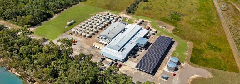 Rural / Farming commercial property for sale at 43052 Bruce Highway Clemant QLD 4816