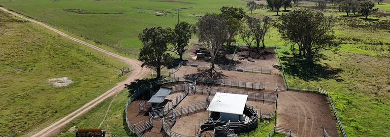 Rural / Farming commercial property for sale at 555 Palgrave Road Dalveen QLD 4374