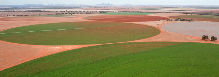 Rural / Farming commercial property for sale at 2451 Lachlan River Road Hillston NSW 2675