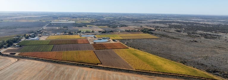 Rural / Farming commercial property for sale at 3784 Walnut Avenue Koorlong VIC 3501