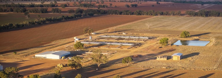 Rural / Farming commercial property for sale at Tara Moira Aggregation Trundle NSW 2875