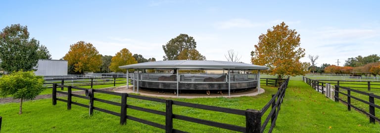 Other commercial property for sale at 1-7 St Aubins Street Scone NSW 2337
