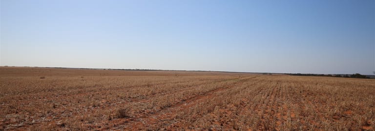 Rural / Farming commercial property for sale at Monak NSW 2738