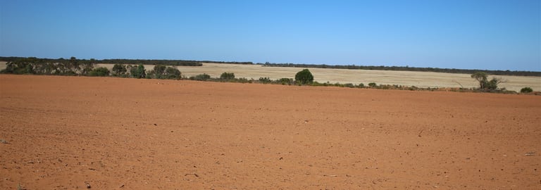 Rural / Farming commercial property for sale at Monak NSW 2738