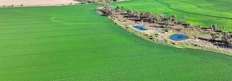 Rural / Farming commercial property for sale at Croppa Creek NSW 2411