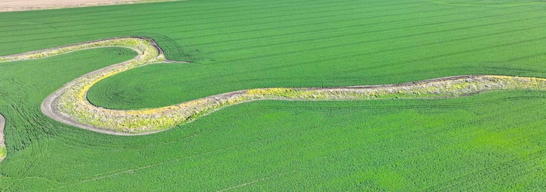 Rural / Farming commercial property for sale at Croppa Creek NSW 2411