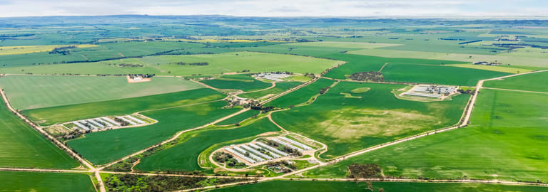 Rural / Farming commercial property for sale at 85 Wandel Road Owen SA 5460