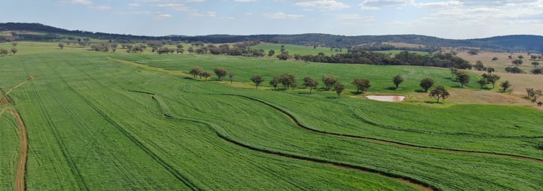 Rural / Farming commercial property for sale at 11 Rosehill Road Rocky Creek NSW 2371