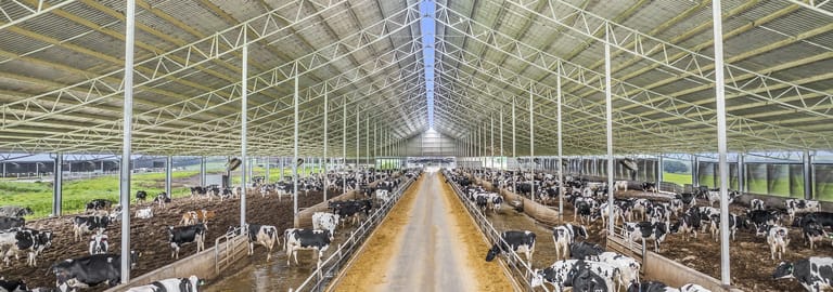 Rural / Farming commercial property for sale at 520 Centre Road Simpson VIC 3266