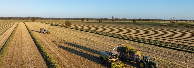 Rural / Farming commercial property for sale at 1623 Redlands Road Ringwood NSW 2646