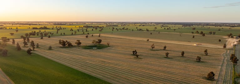 Rural / Farming commercial property for sale at 1623 Redlands Road Ringwood NSW 2646