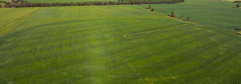 Rural / Farming commercial property for sale at 1623 Redlands Road Ringwood NSW 2646
